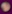 bul.jpg (702 bytes)